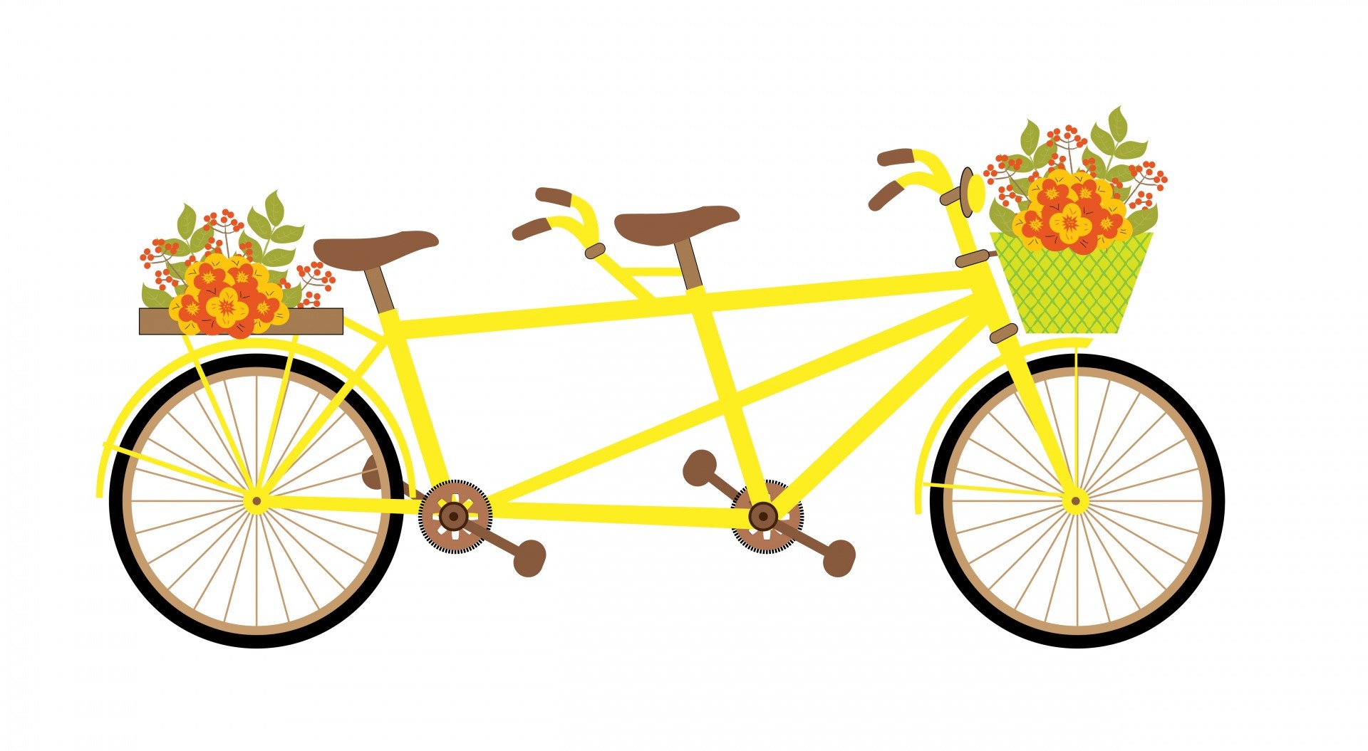 bicycle tandem vintage